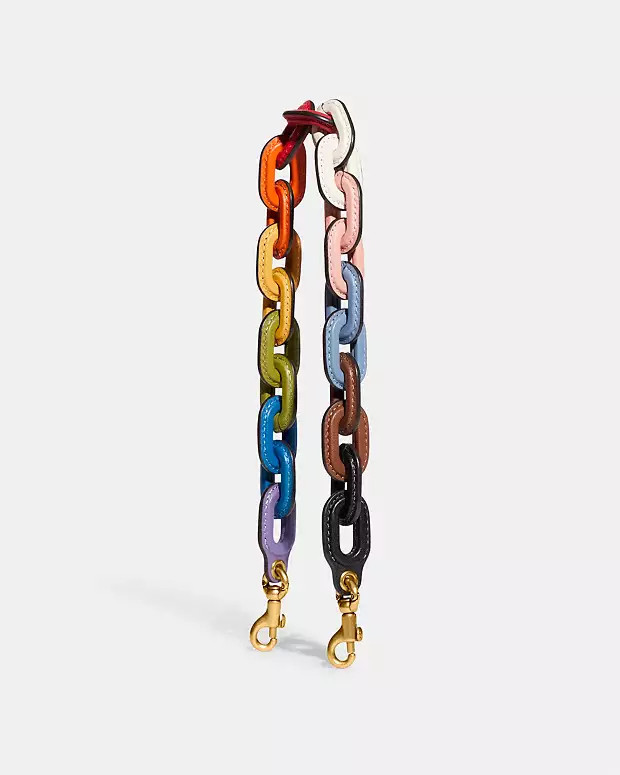 Rainbow Leather Covered Short Chain Strap | Coach Outlet US