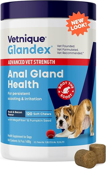 Vetnique Glandex Anal Gland Soft Chew Treats with Pumpkin for Dogs Digestive Enzymes, Probiotics ... | Amazon (US)