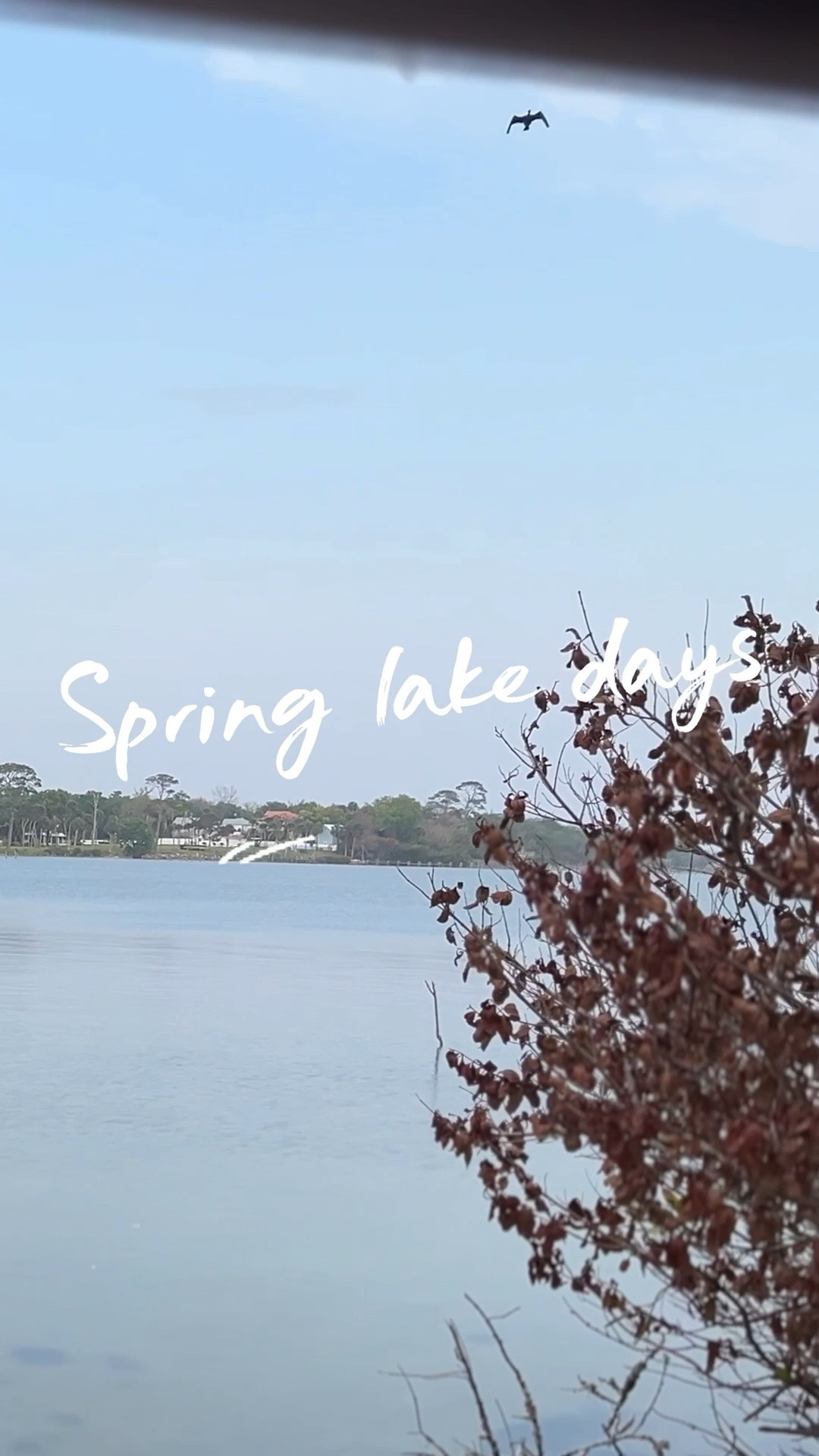 Spring lake days ☀️

#LTKdayinmylife #LTKselfcare #LTKvlog