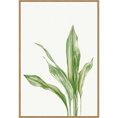 22" x 33" Cast Iron Plant II by and Slyp Errico Framed Canvas Wall Art Light Brown - Amanti Art | Target