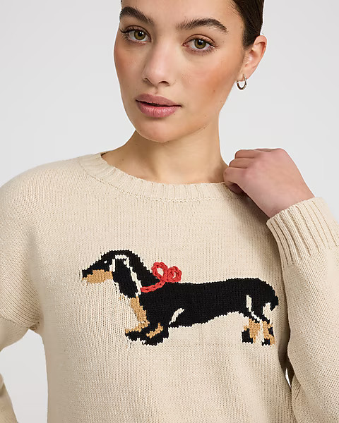 Dog Bow Graphic Crew Neck Sweater | Express