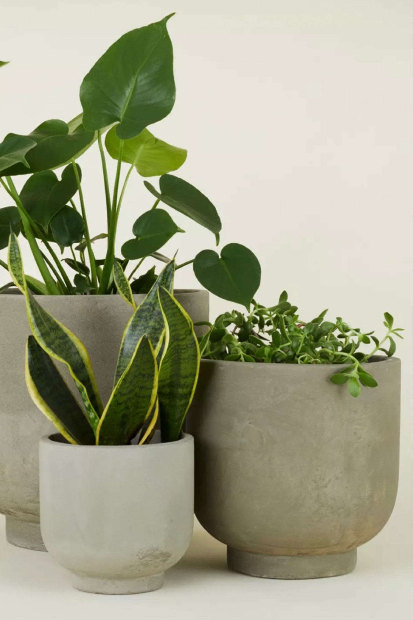 Obsessed with these planters!

#LTKhome