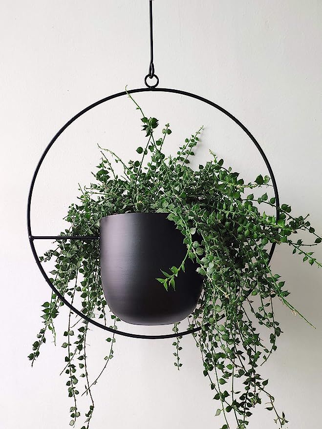 RISEON Boho Black Metal Plant Hanger,Metal Wall and Ceiling Hanging Planter, Modern Planter, Mid ... | Amazon (US)