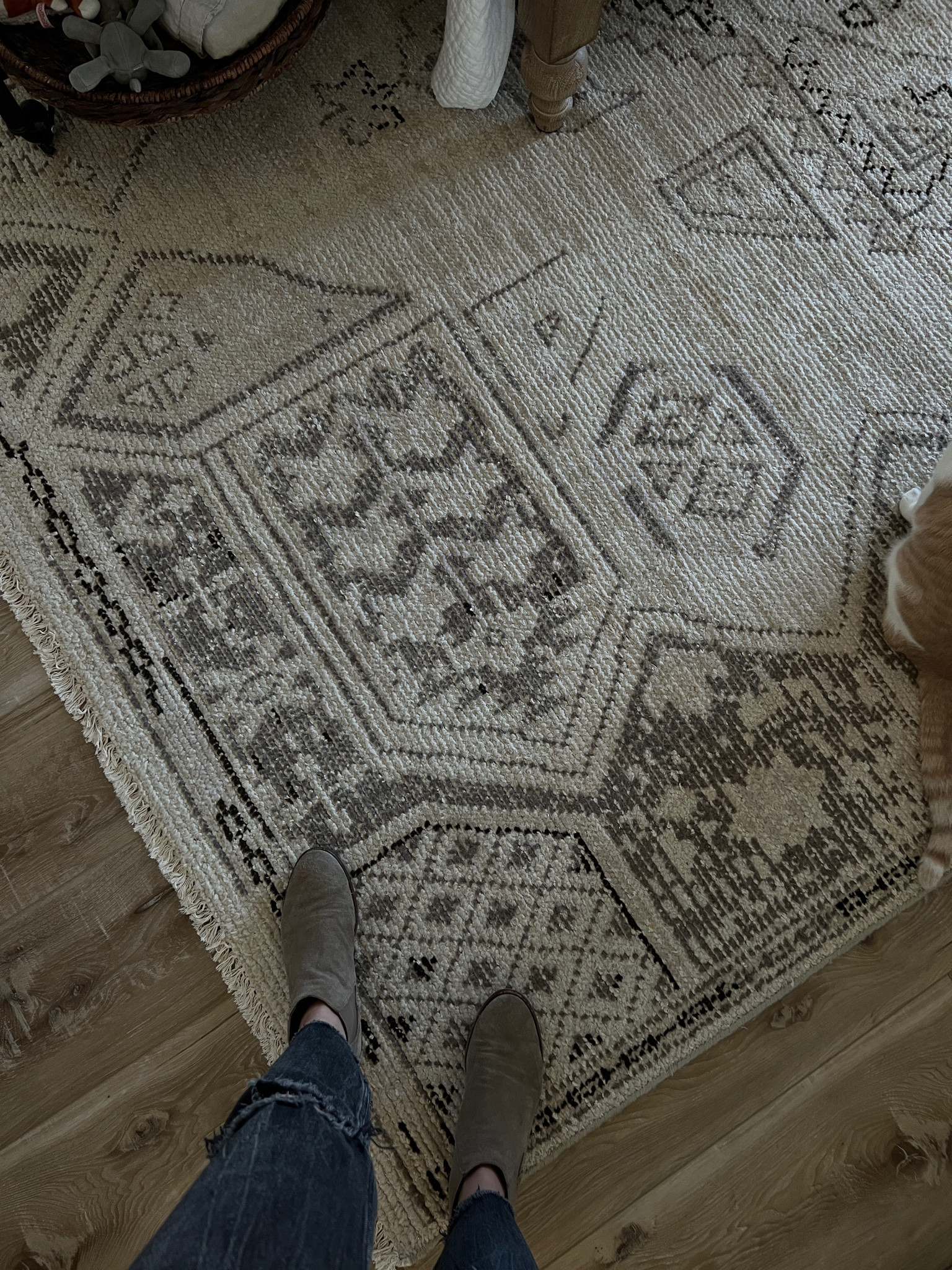 Master primary bedroom. Area rug. Home decor. Living room. 

#LTKFind #LTKfamily #LTKhome