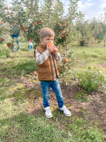 Fall outfits, toddler boy fall outfit, boy fall outfit, toddler boy flannel, boy flannel, toddler boy vest, boy vest, toddler boy sneakers, boy sneakers, apple picking outfit, pumpkin picking outfit, family pictures, family photos 

#falloutfits #familyphotos #boysneakers #boyflannel #boyoutfit 

#LTKfamily #LTKSeasonal #LTKkids