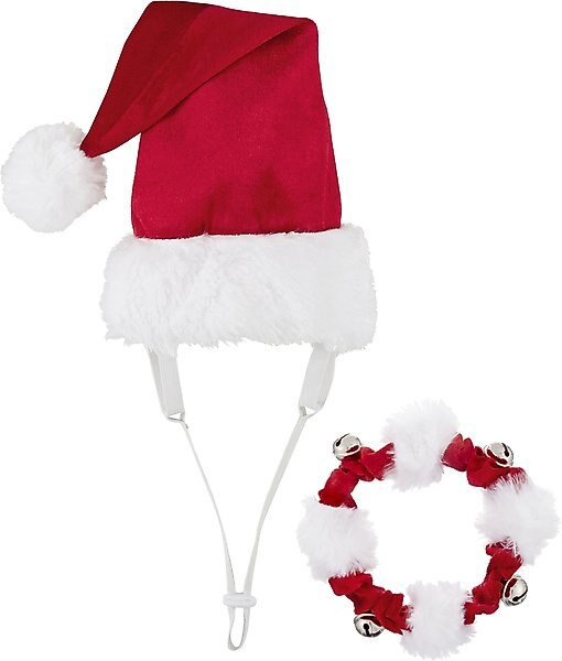 Bundle: Frisco Holiday Dog & Cat Santa Hat + Jingle Bells Dog & Cat Holiday Collar with Bells, X-... | Chewy.com