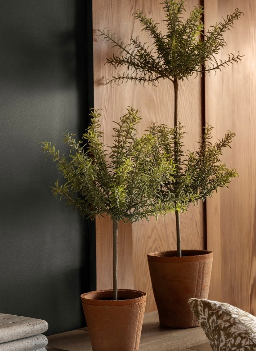 Faux Florals | Faux potted mini plants 

#LTKHome