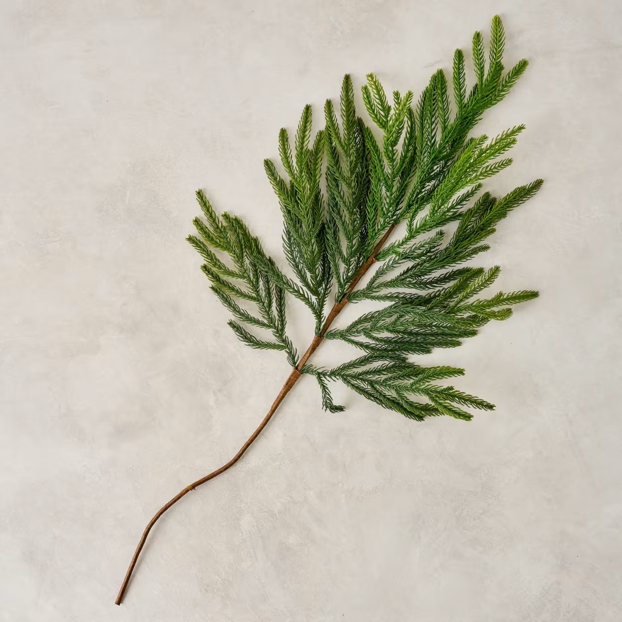 Real Touch Norfolk Pine Spray | Magnolia