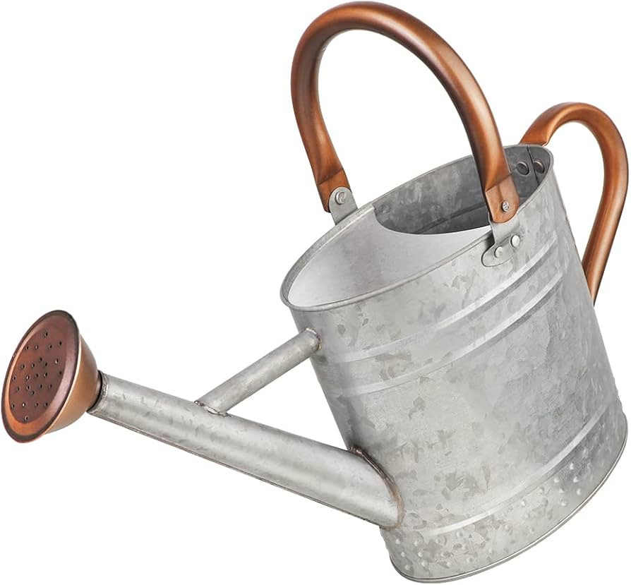 1 Gallon Metal Watering Can with Removable Spout, Nice Galvanized Steel Water Can with Embossed D... | Amazon (US)
