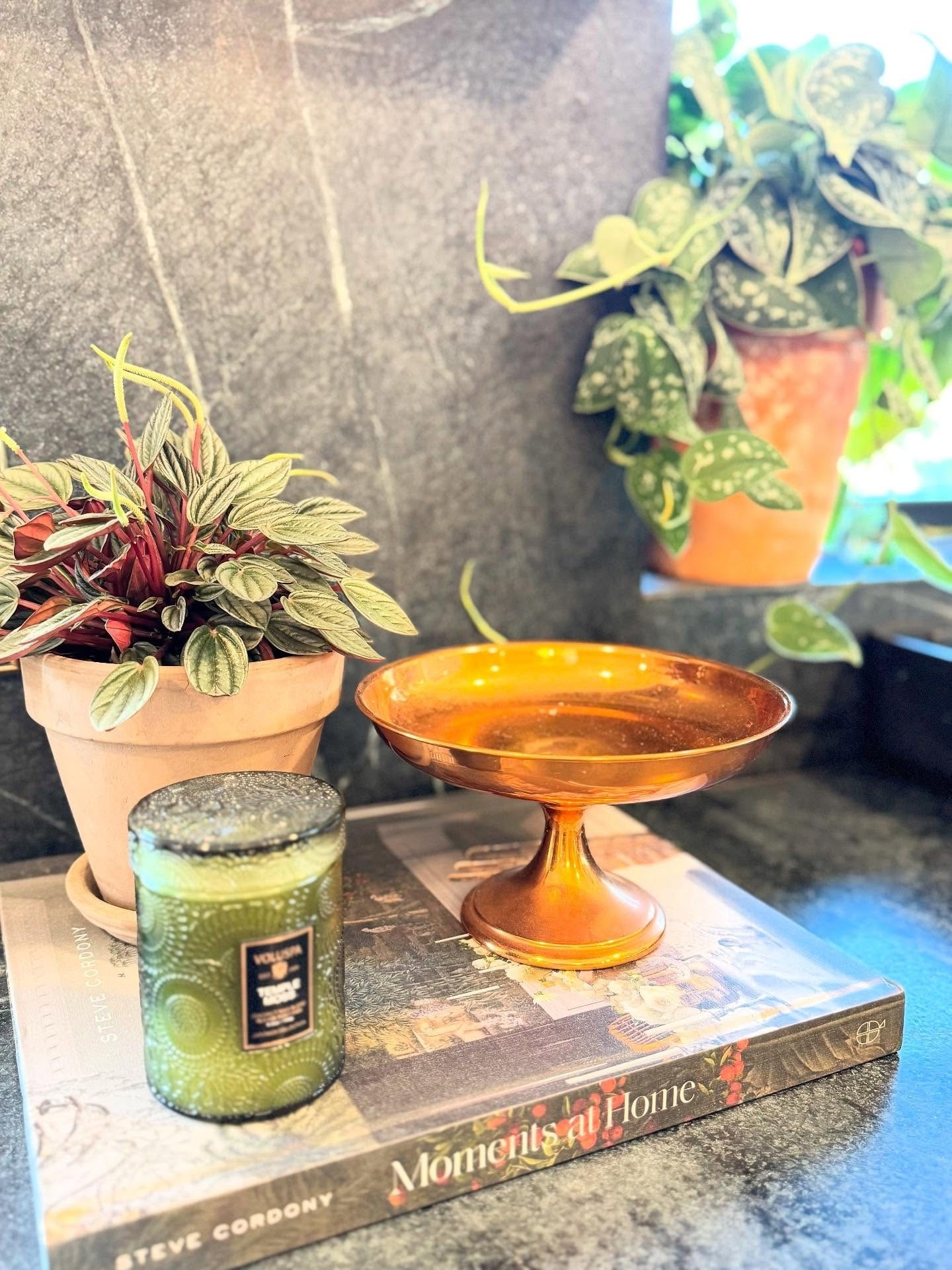 Obsessed with my little copper candy dish I found at my favorite antique store. Theo little corner of my pool house kitchen makes me so happy with all of my plants! #plantsmakepeoplehappy #plantlover #antiquefinds #vintagefinds #antiques #coppperaccents #rosedalefarm #frostfarm
