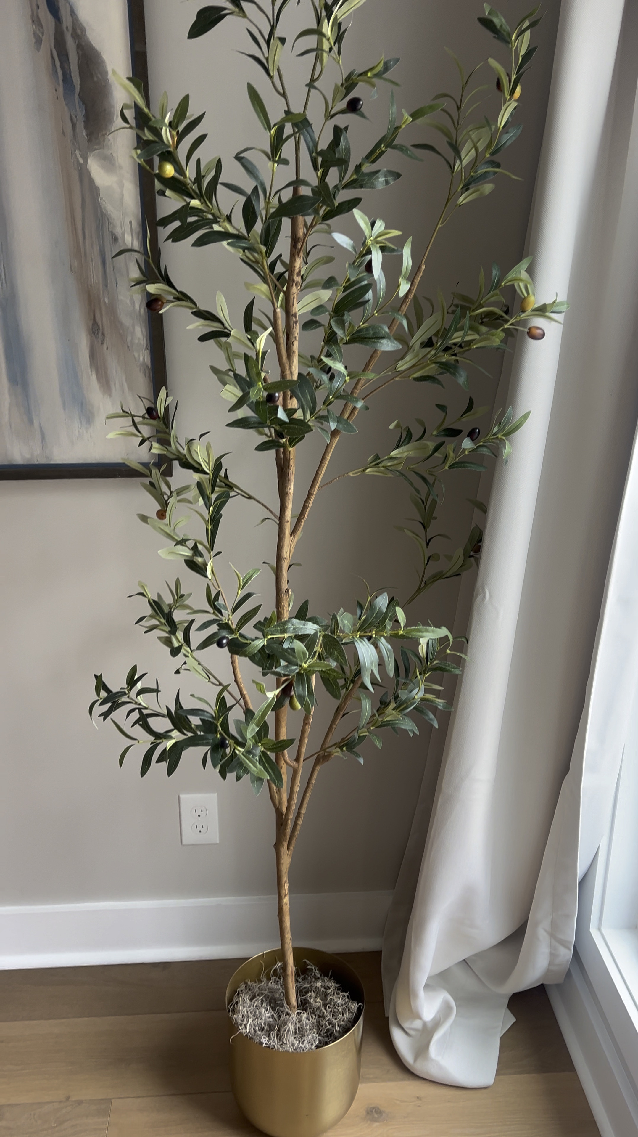 My favorite faux olive tree is on sale for under $50 at Walmart right now! I have the 6ft option. 

#LTKVideo #LTKsalealert #LTKhome