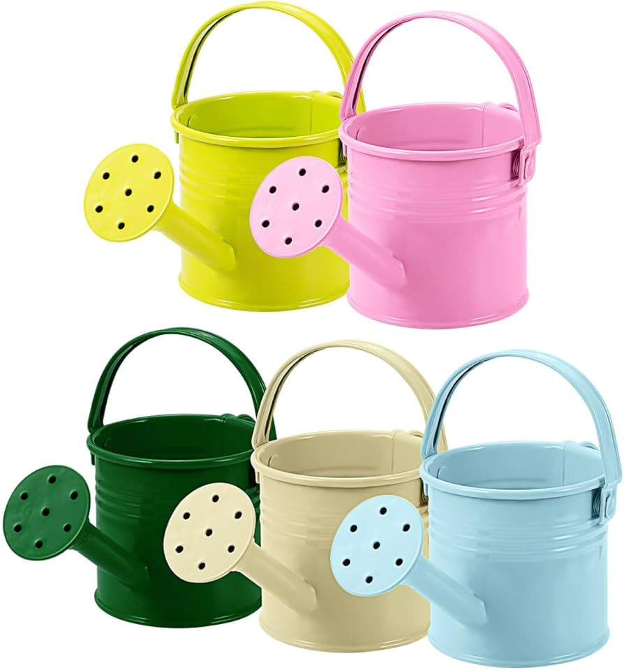 5 Pcs Kids Watering Cans, Mini Metal Plant Watering Can with Long Spout, Small Tin Flower Pots fo... | Amazon (US)