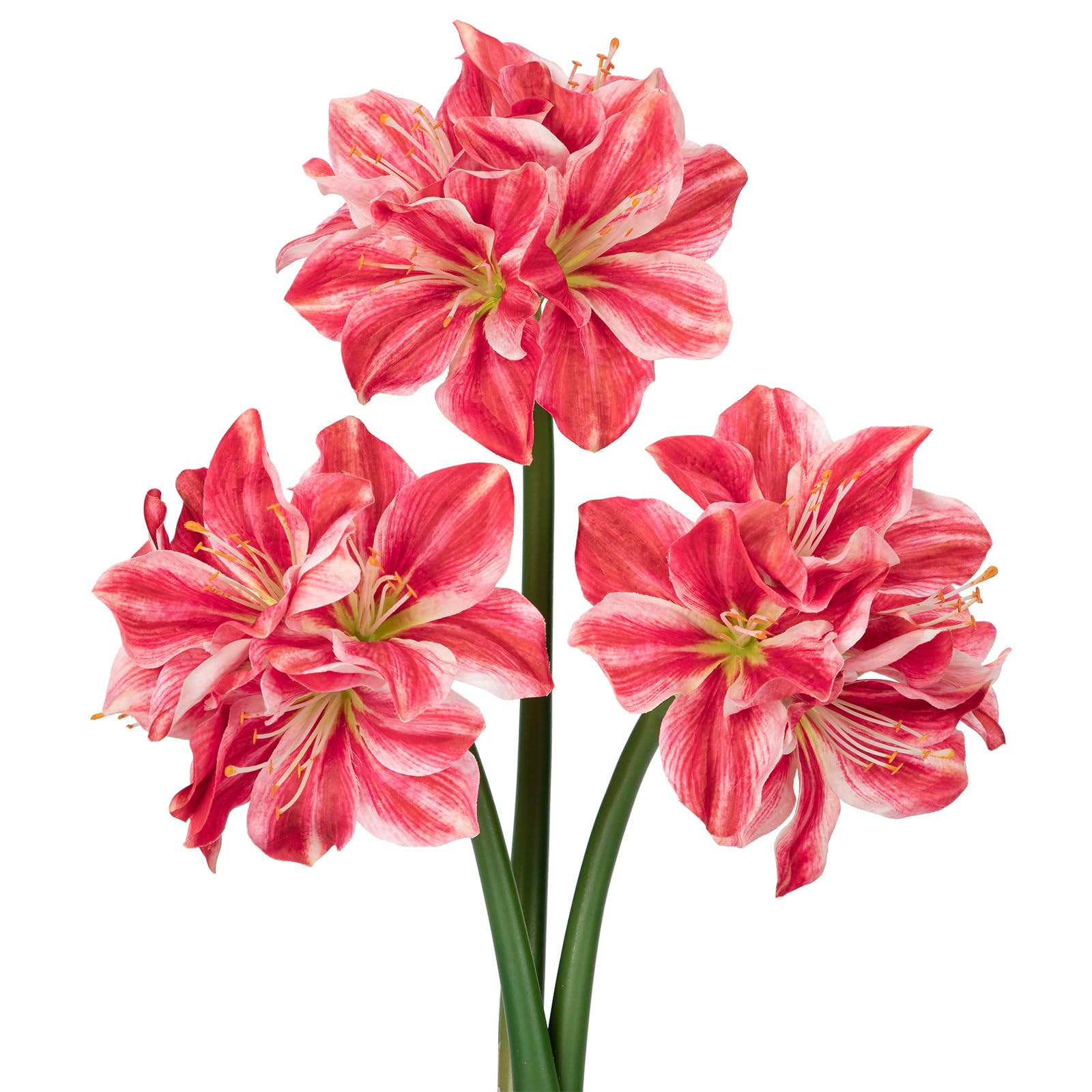 Briful 3PCS Amaryllis Artificial Flowers 17.3 Inch Faux Amaryllis Flowers Stems with 4 Heads Silk... | Amazon (US)