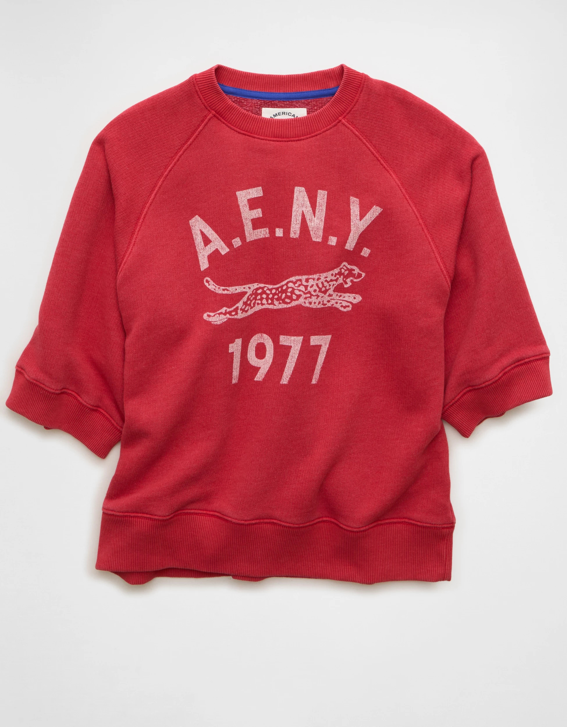 AE Campus Short-Sleeve Sweatshirt | American Eagle Outfitters (US & CA)
