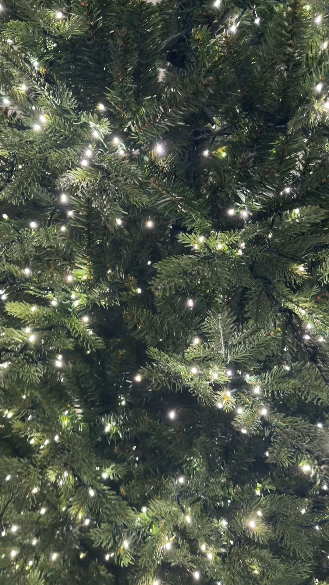 The viral tree is back! 

#LTKSeasonal #LTKHoliday