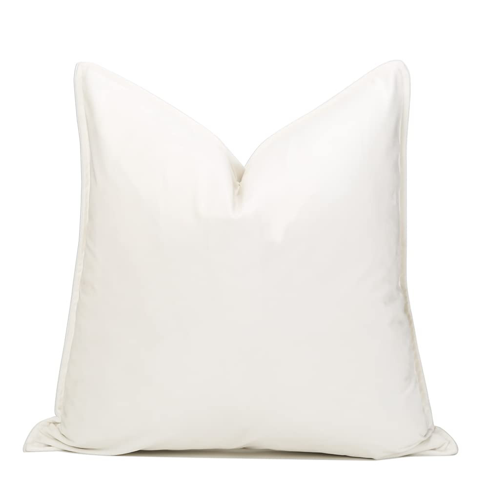 THE-TINOART Decorative Accent Throw Pillow Covers Velvet Soft for Couch Sofa Bedroom Living Room ... | Amazon (US)