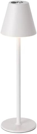 Minimalist Cordless Rechargeable Led Table Lamp, 4000mAh Battery, Metal Shell with Matte Coating ... | Amazon (US)