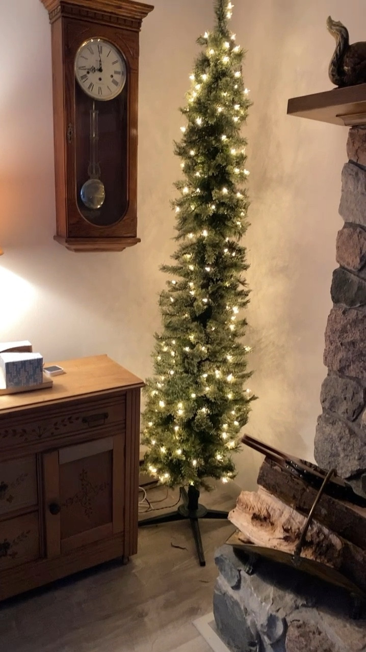 My favorite pencil tree is 56% off! Great for added decor or as a small Christmas tree. Perfect for tight spaces 


Cashmere pencil tree, small Christmas tree, prelit Christmas tree, sale tree

#LTKHoliday #LTKCyberWeek #LTKHome