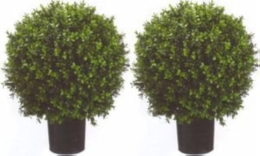 Silk Tree Warehouse Company Inc Two 2 Foot Outdoor Artificial Boxwood Ball Topiary Bushes Potted ... | Amazon (US)