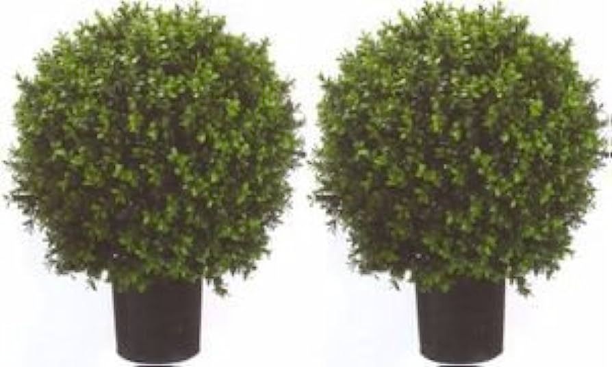 Silk Tree Warehouse Company Inc Two 2 Foot Outdoor Artificial Boxwood Ball Topiary Bushes Potted ... | Amazon (US)