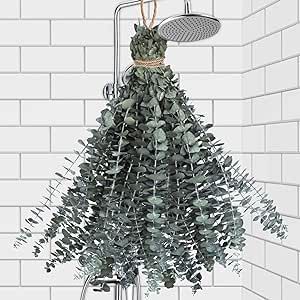 24 PCS Real Dried Eucalyptus Stems for Shower Hanging-17'' Large Preserved Eucalyptus Shower Plan... | Amazon (US)