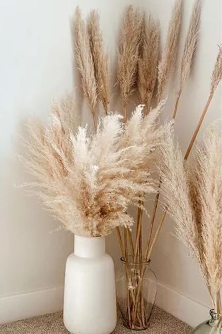 Vases and pampas for any space 



#LTKstyletip #LTKfamily #LTKhome