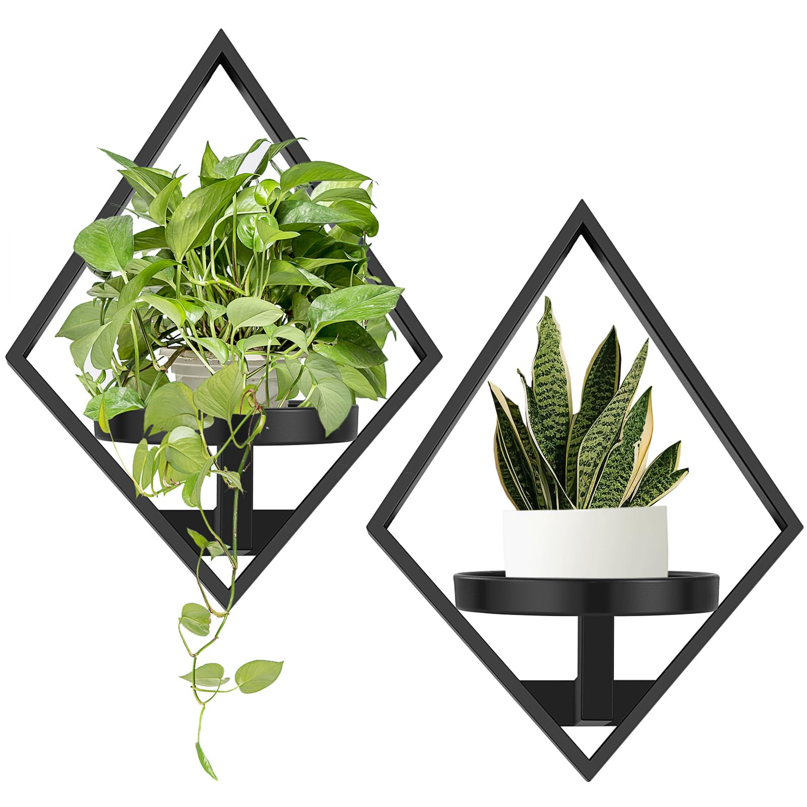 Wall Plant Holder, 2 Pack Metal Floating Plant Shelf Indoor, Window Sill Plant Shelf for Bedroom ... | Amazon (US)