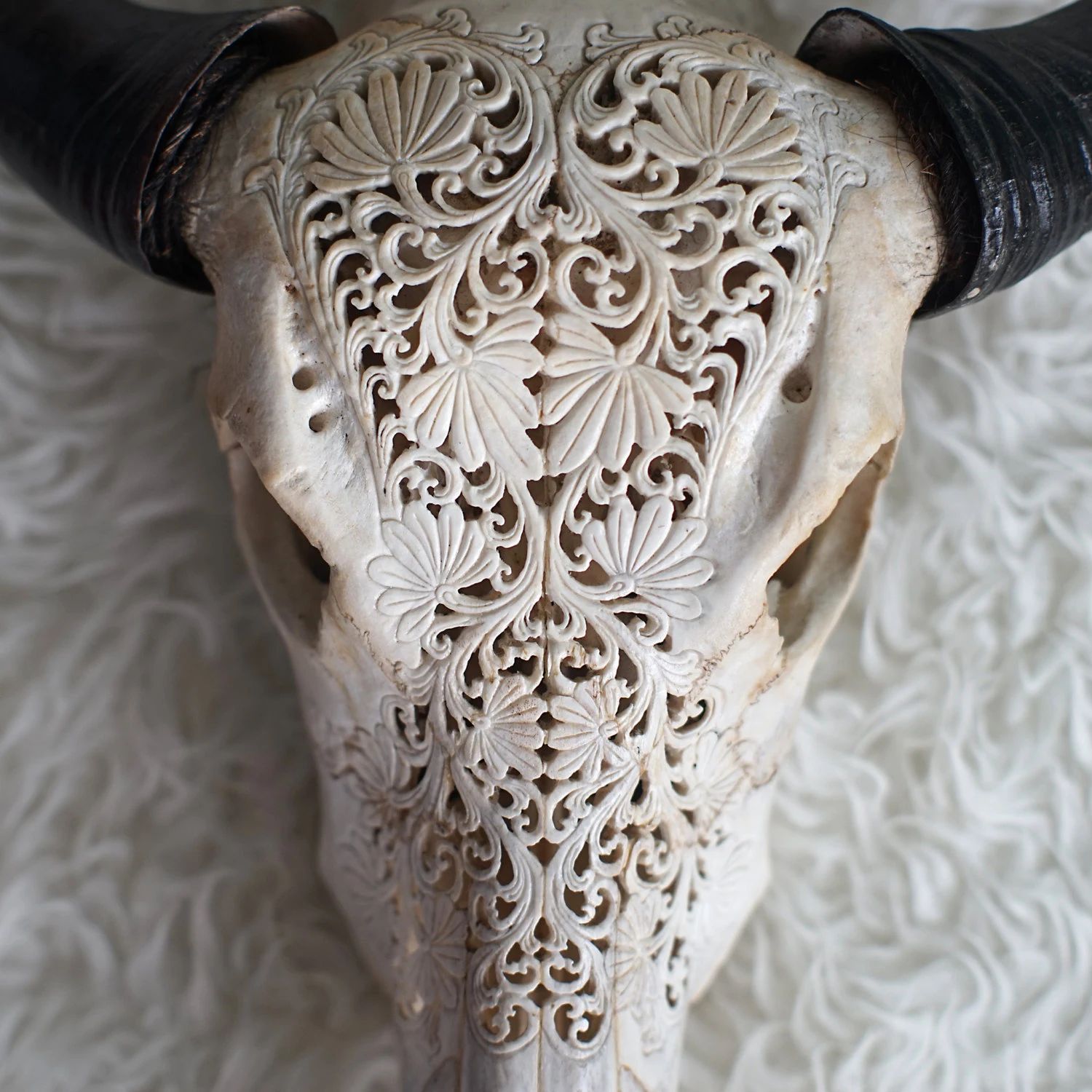 TAXIDERMY ANTLERS, Real Cow Skull Carving with Balinese style Lotus Pattern, A Unique Bar and Office | Etsy (US)