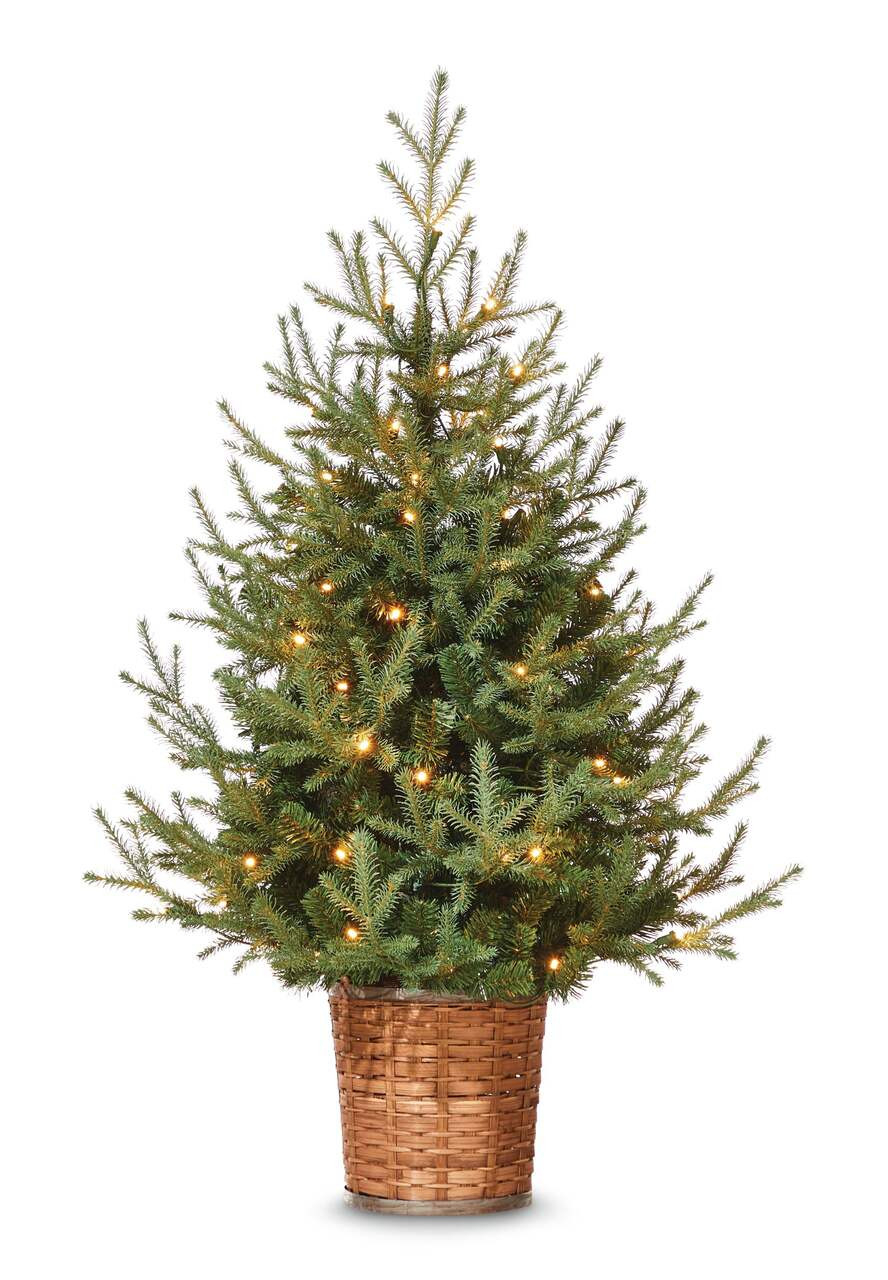 CANVAS Pre-Lit Indoor Upswept Spruce Christmas Tree in Basket, 70 LED Lights, 4-ft | Canadian Tire