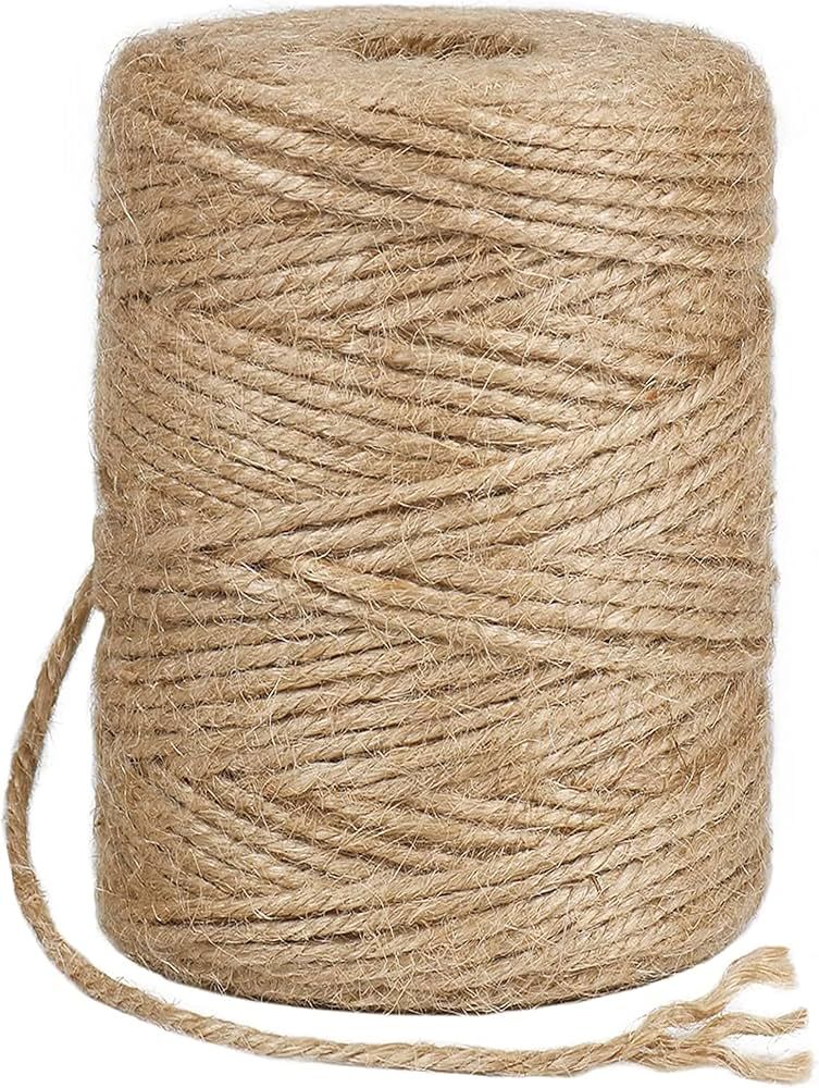 3mm Jute Twine 656 Feet,Natural Jute Twine 3mm Thick Twine Rope for Crafting,Brown Jute Twine Str... | Amazon (US)