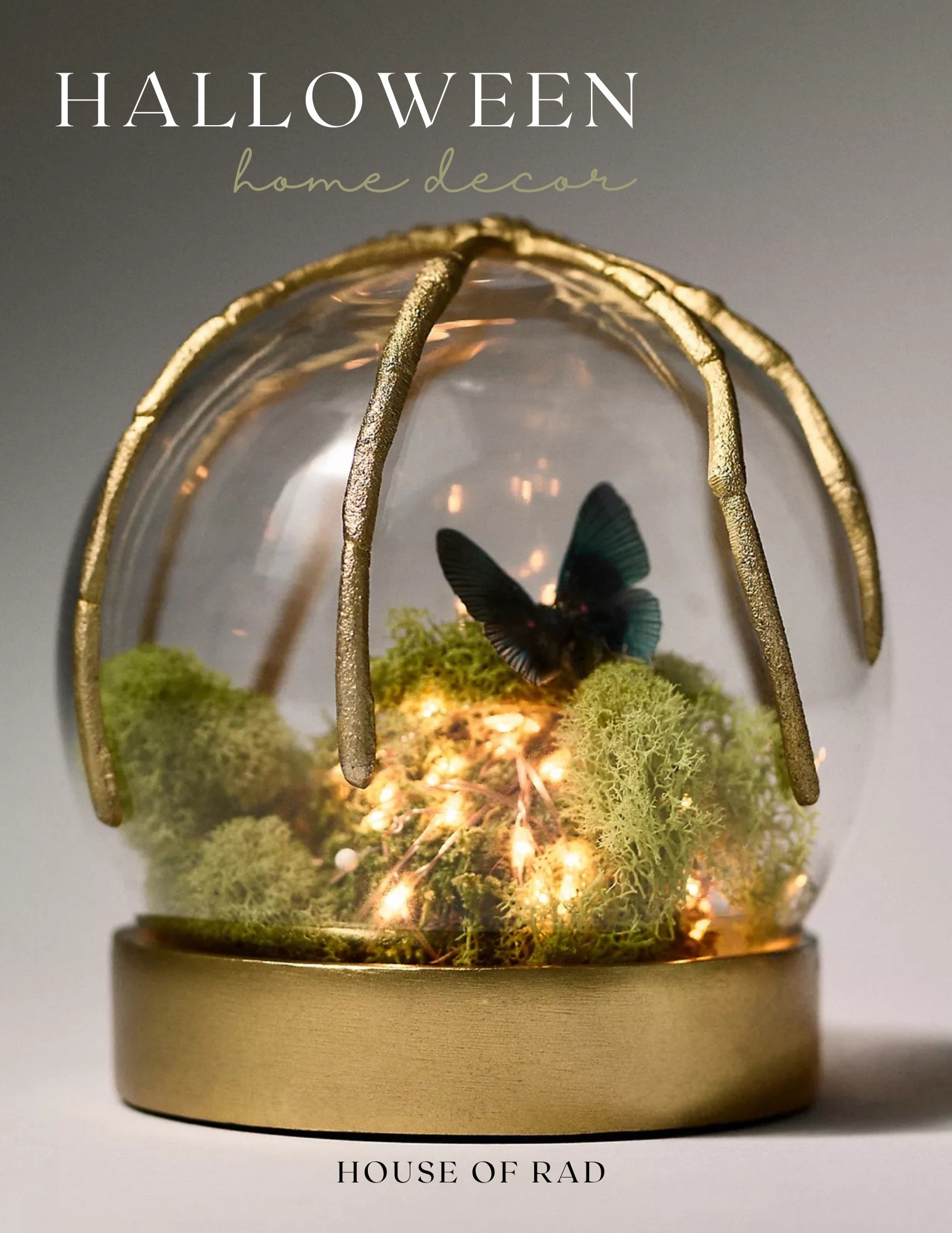 Halloween home decor
Seasonal home decor
Fall home decor
Halloween cloche


#LTKSeasonal #LTKHome