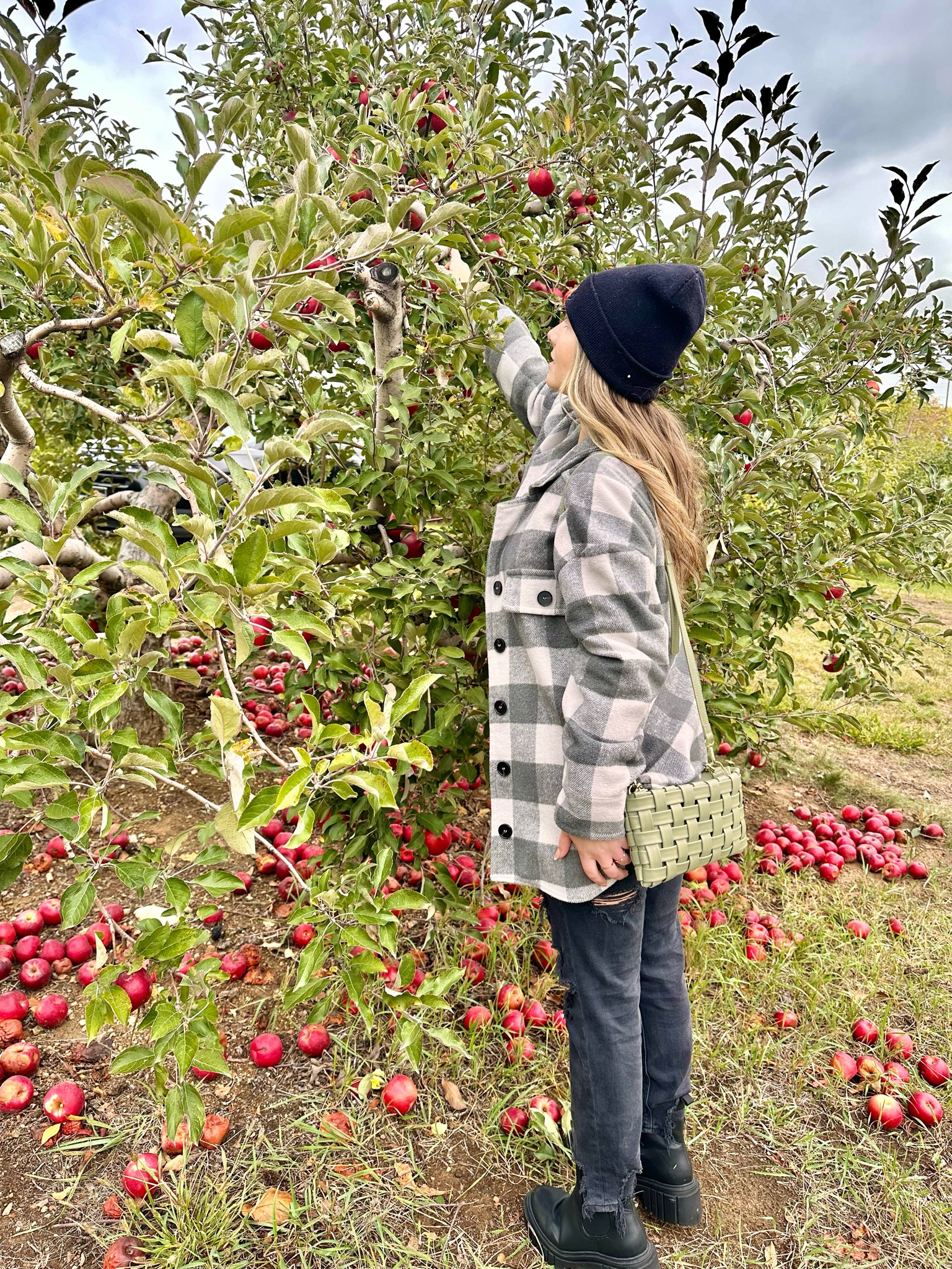 Apple Orchard 🍎🌤️ 🍏#blackjeans #shacket #fallfashion #jeans #amazonfashion #targetstyle