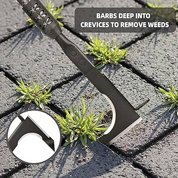 Crack Weeder, Long Handle Crevice Weeding Tool, 48" Efficient Weeder Tool Stainless Steel Weed Gr... | Amazon (US)