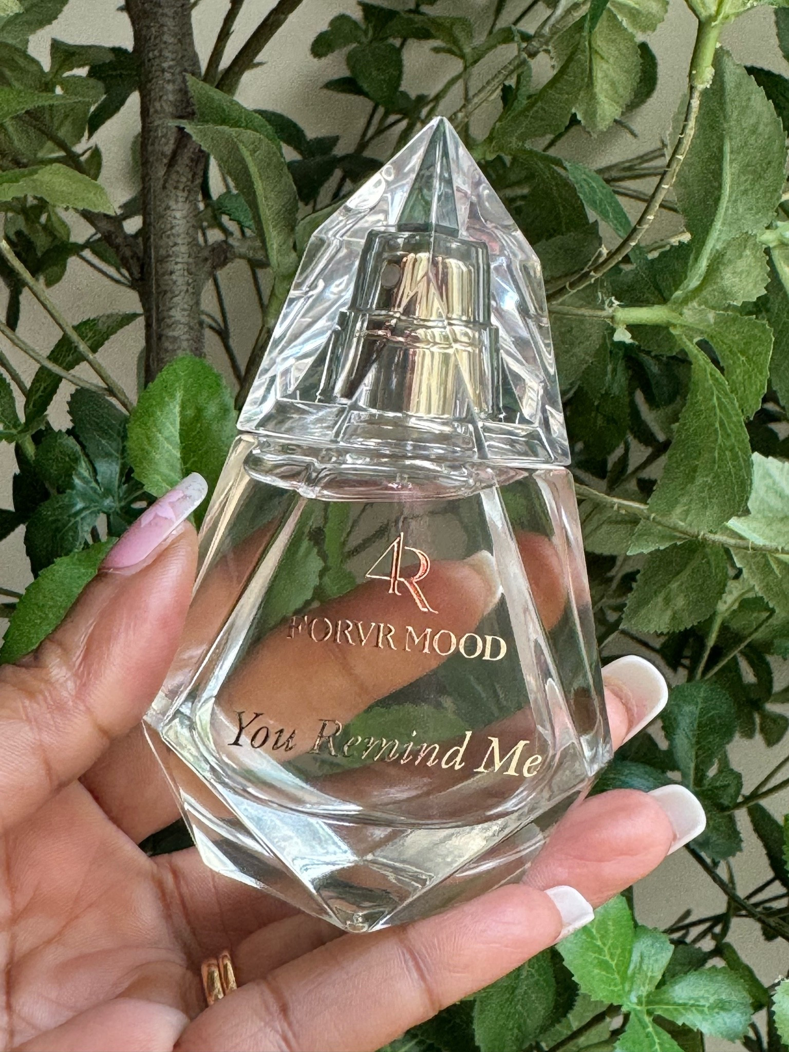 Quickly becoming a favorite scent of mine! Clean girl vibes

#LTKBeauty #LTKOver40 #LTKgrwm