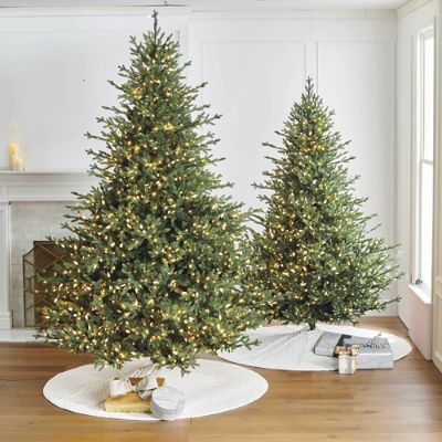 Color Changing Oxford Fir Full Profile Tree | Frontgate