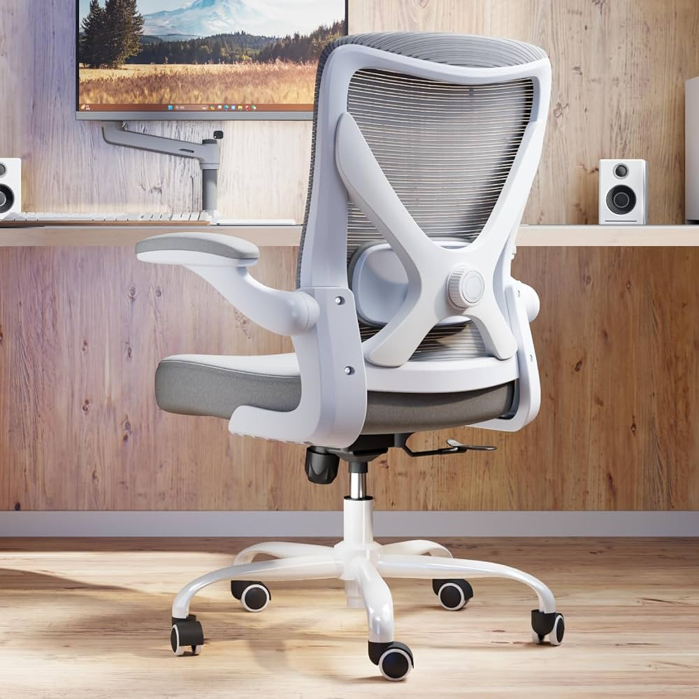 Ergonomic Office Chair - X-Shaped Computer Desk Chair Comfy, Gaming Chair, Office Chair with Lumb... | Amazon (US)