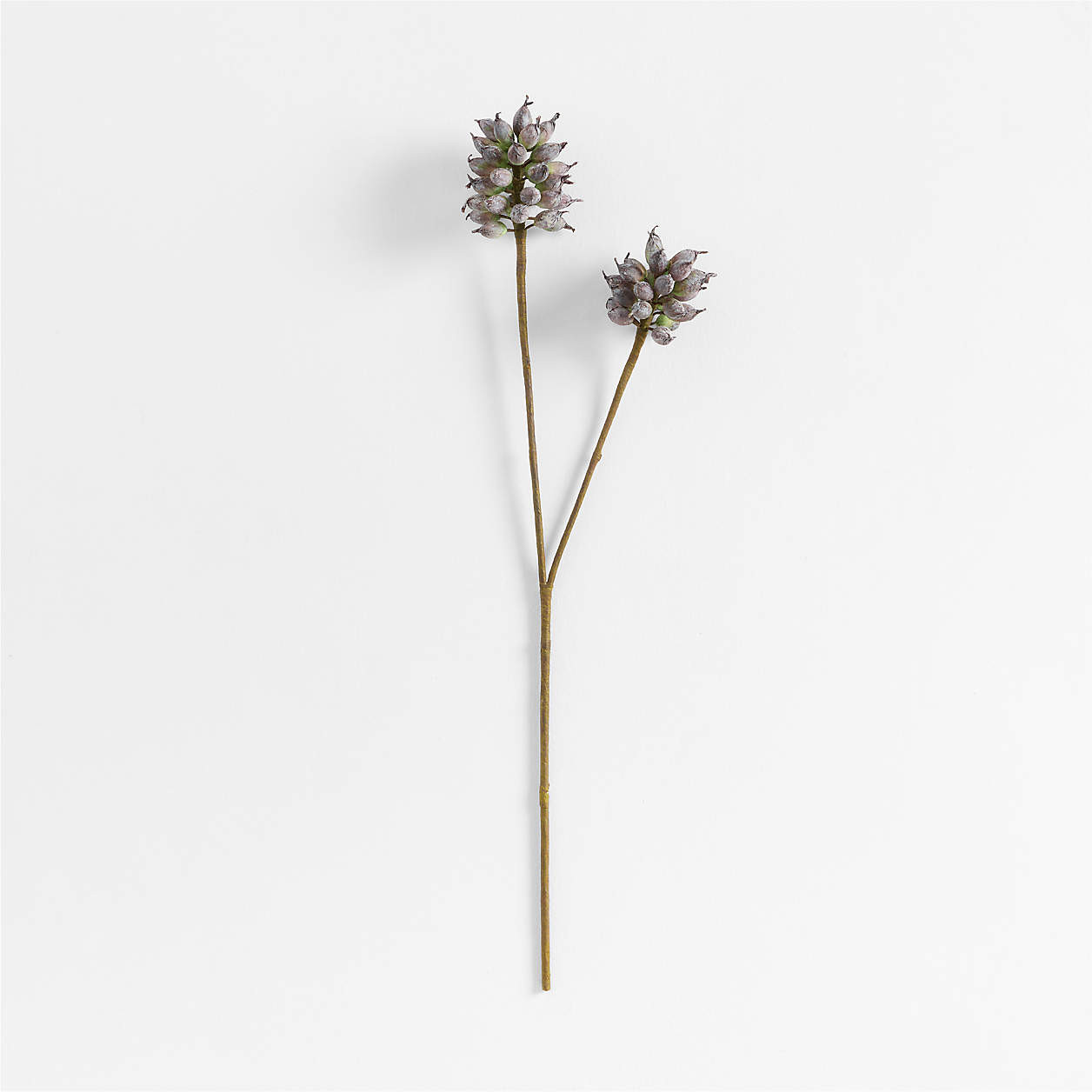 Faux Heirloom Thistle Stem 35 | Crate & Barrel