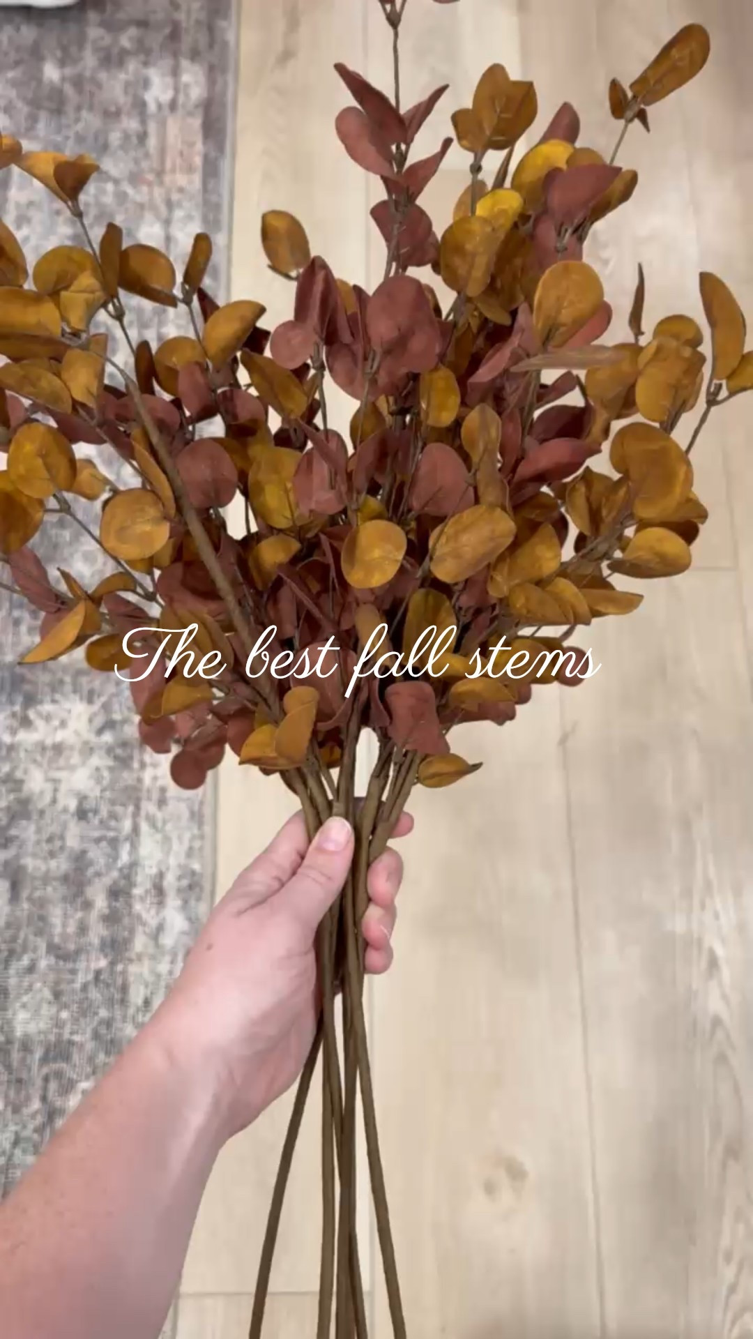 Amazon fall home decor! I found these realistic Amazon fall stems for under $15 

#fall #falldecor 

#LTKHome #LTKSaleAlert #LTKSeasonal