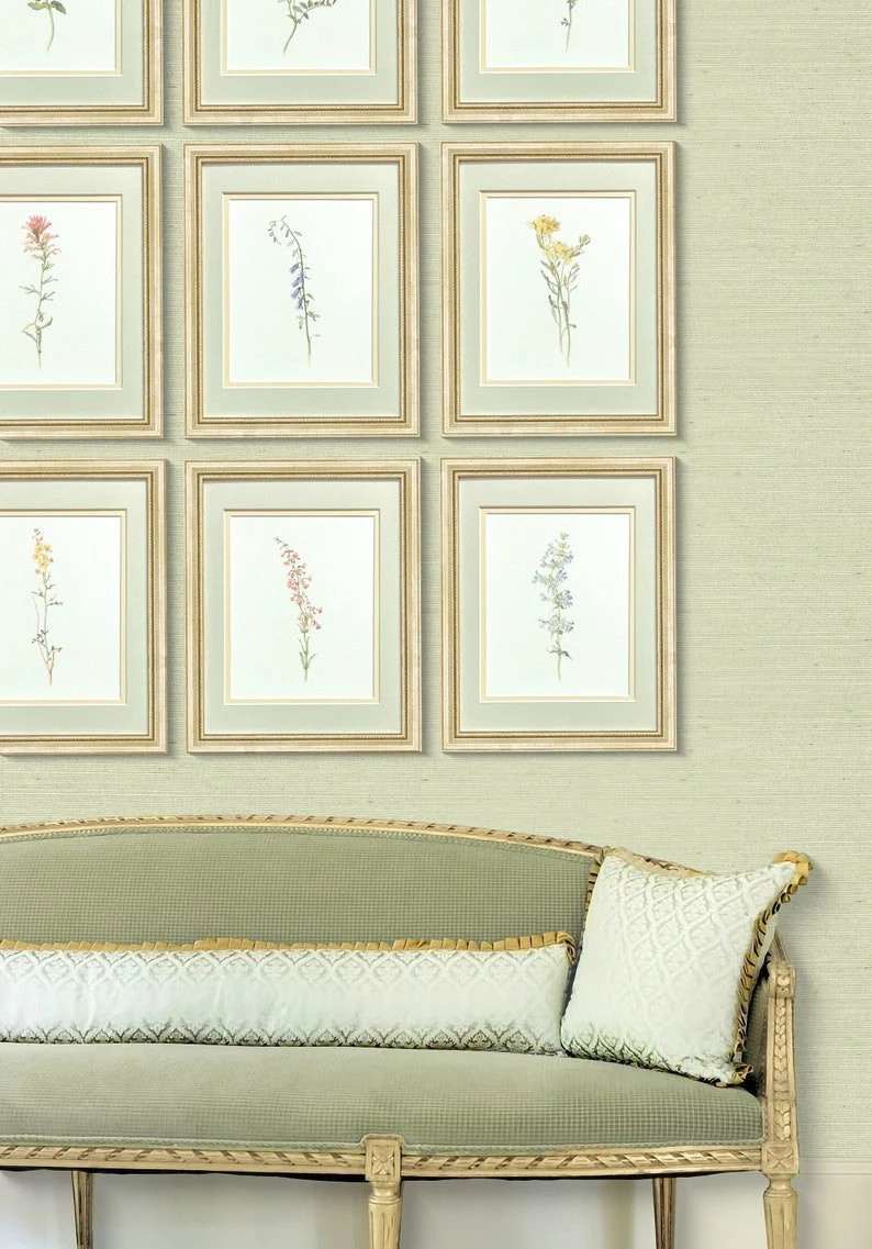 Collection of Vintage Framed Botanical Prints, Set of 12 Antique Botanical Prints, Rustic Botanic... | Etsy (US)