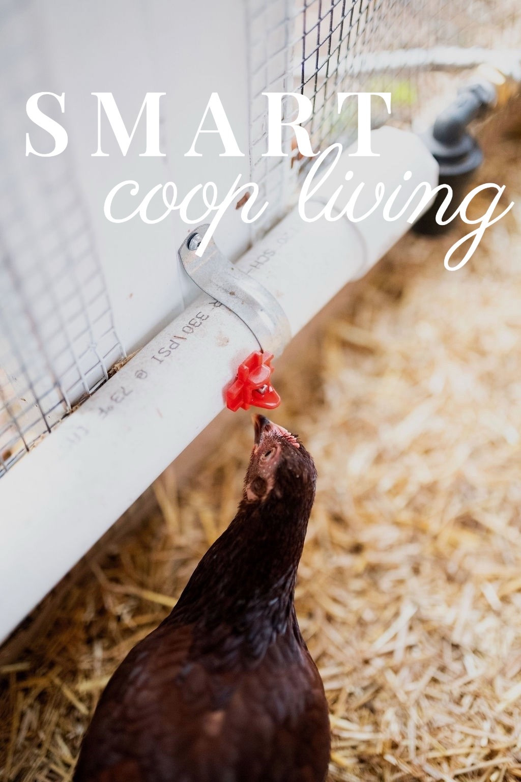 Water, but make it smart 💧🐓 Our chickens stay hydrated with this no-mess poultry waterer—easy to install, minimal maintenance, and perfect for keeping the coop tidy. Functional meets modern farm living 👩‍🌾✨

#chickencoopessentials #modernhomestead #smartcoopsetup #backyardchickens #hydrationstation #poultrywaterer #farmhouselife #coopliving #homesteadstyle #chickenkeeping #ltkhome #porcheandco


#LTKHome #LTKStyleTip #LTKOver40