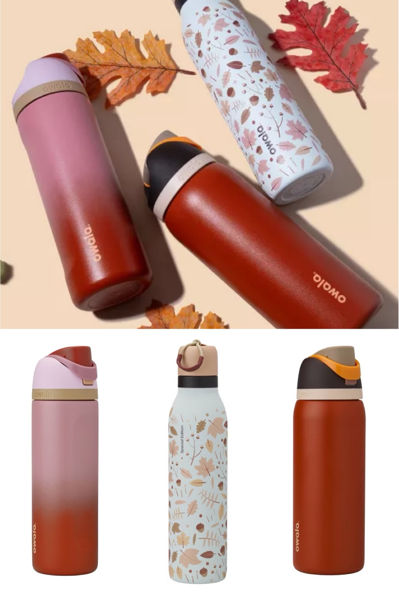 Owala just launched some new Limited Edition Fall options at Target! 🍁 Autumn Sunset, Leafy & Pumpkin Spice are all available now, and are selling incredibly fast since this water bottle brand is SO popular! Once they’re sold out, they’re gone for good 🧡🤎❤️

#LTKSeasonal #LTKHome #LTKFindsUnder50