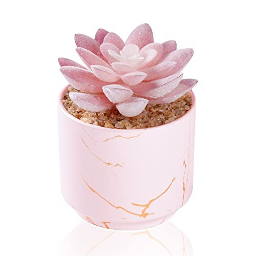 ZENIDA Succulent Artificial Plants,Cute Fake Succulents in 1 Pink Ceramic Pots,Small Fake Plants for Office,Table,Desk,Bathroom, Bedroom,Aesthetic Room Shelves Decor,Desk Decorations for Women Office | Amazon (US)