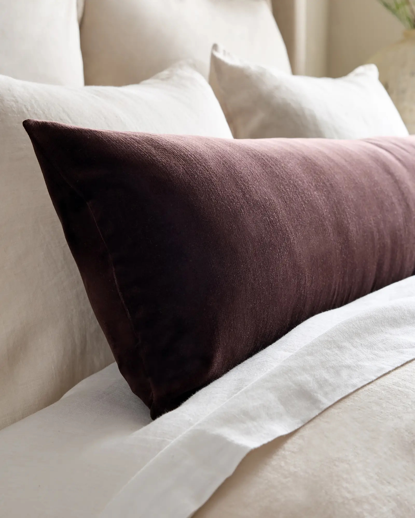 Cotton Velvet Oversized Lumbar Pillow Cover in Espresso | Quince