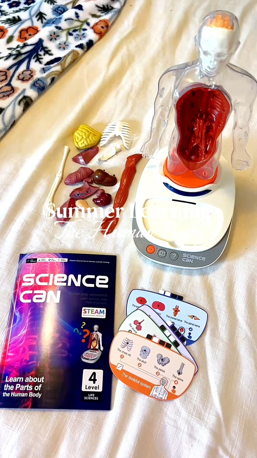 Summer learning: human body

#LTKKids #LTKSaleAlert #LTKdayinmylife