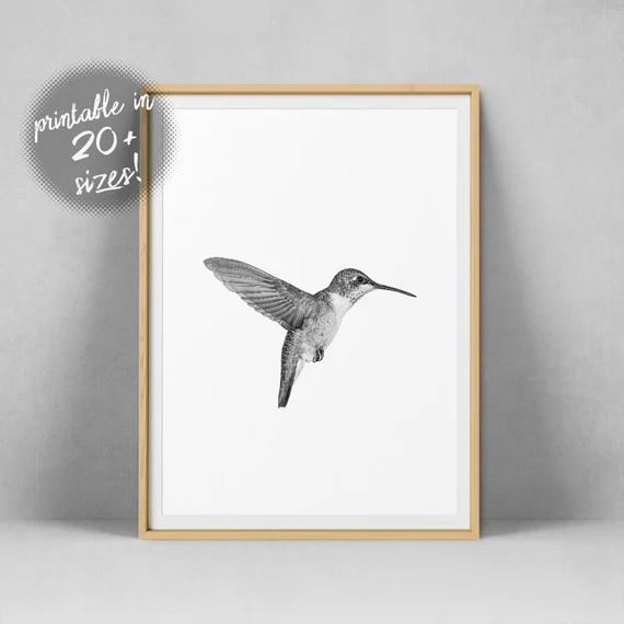 Minimalist Bird Print Hummingbird Wall Art Print Black and | Etsy Netherlands | Etsy (NL)