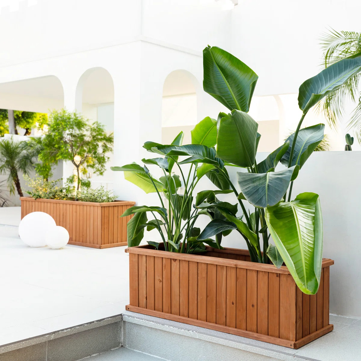 Barros Outdoor Wood Planter Box New green house beauty and hope Raised Garden Bed | Wayfair North America