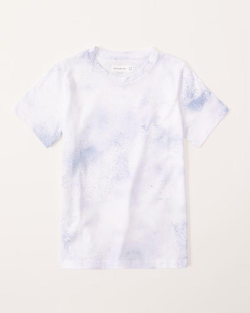 icon tee | Abercrombie & Fitch (US)