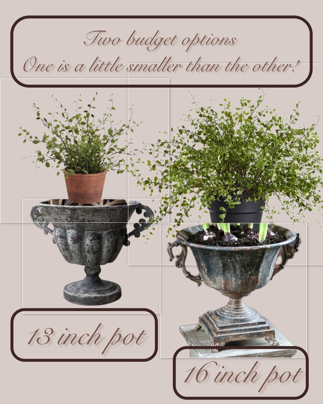 I have the option on the right! The larger maiden hair plant and urn. So many of you wanted a more budget friendly option so I found this smaller style that is more budget friendly. Both are great deals for the size and quality! 

#LTKHome #LTKSaleAlert #LTKU