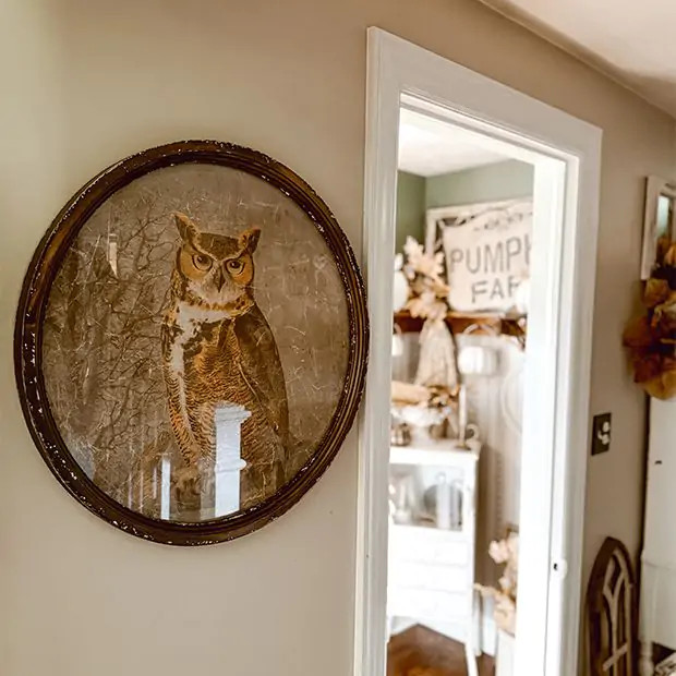 Round Frame Great Horned Owl Wall Print | Antique Farm House