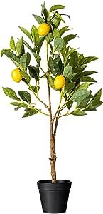 Vickerman Everyday 28" Artificial Potted Lemon Tree - Lifelike Home Or Office Decor - Premium Fau... | Amazon (US)
